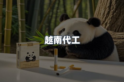 越南代工